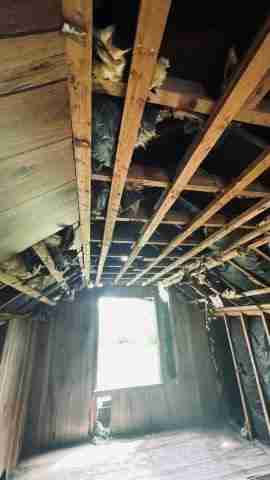 14680 Troester (33).jpg